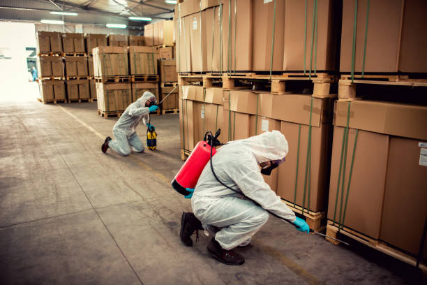 Best Affordable Pest Control Services  in Krugerville, TX