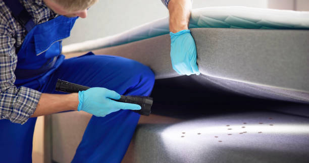 Best Bed Bug Extermination  in Krugerville, TX