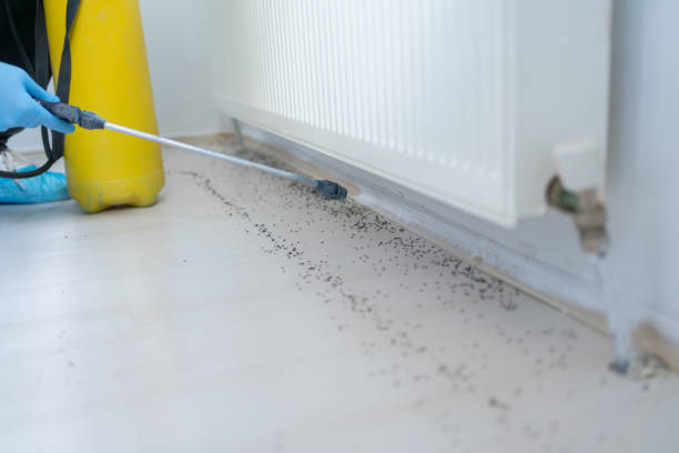 Best Exterminator Services  in Krugerville, TX