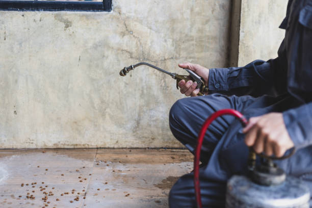 Best Best Pest Control Companies  in Krugerville, TX